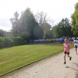 2016 scholenveldloop  183 - Sportraad Zaventem 